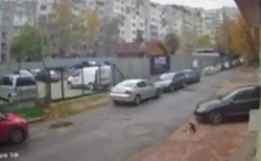 Mjeku nga Maqedonia përplas qenin para një ndërtese në Sofje  reagime të ashpra