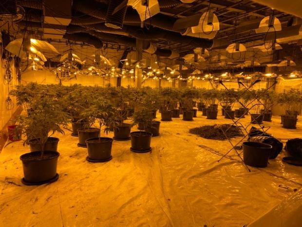 Policia zbulon  shtëpi bari   Djali arrestohet  nëna procedohet  babai në kërkim