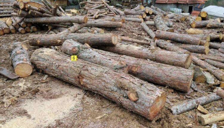 Sekuestrohen 19 m³ dru të prerë ilegalisht