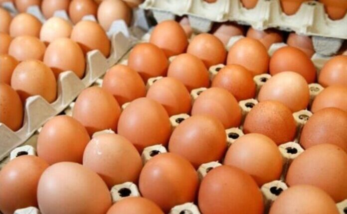 Parandalohet tentativa për kontrabandimin e 40 tonëve vezë të pasigurta nga Serbia