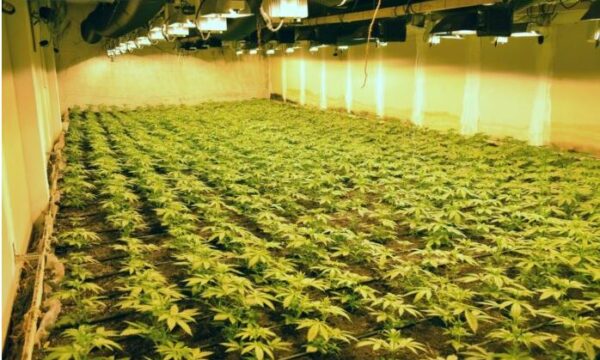 Shtëpi bari në mes të Bergamos në Itali  arrestohen 2 shqiptarë